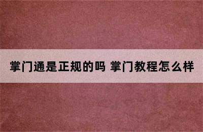 掌门通是正规的吗 掌门教程怎么样